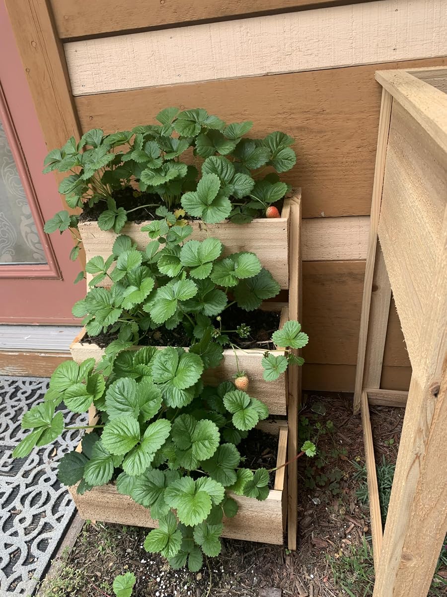 Cedar Vertical Planter view 4