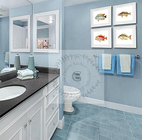Miniatura 4 de Juego de 4 impresiones artísticas de peces tropicales sin marco, color arco iris, decoración de baño de playa y pescado_4A