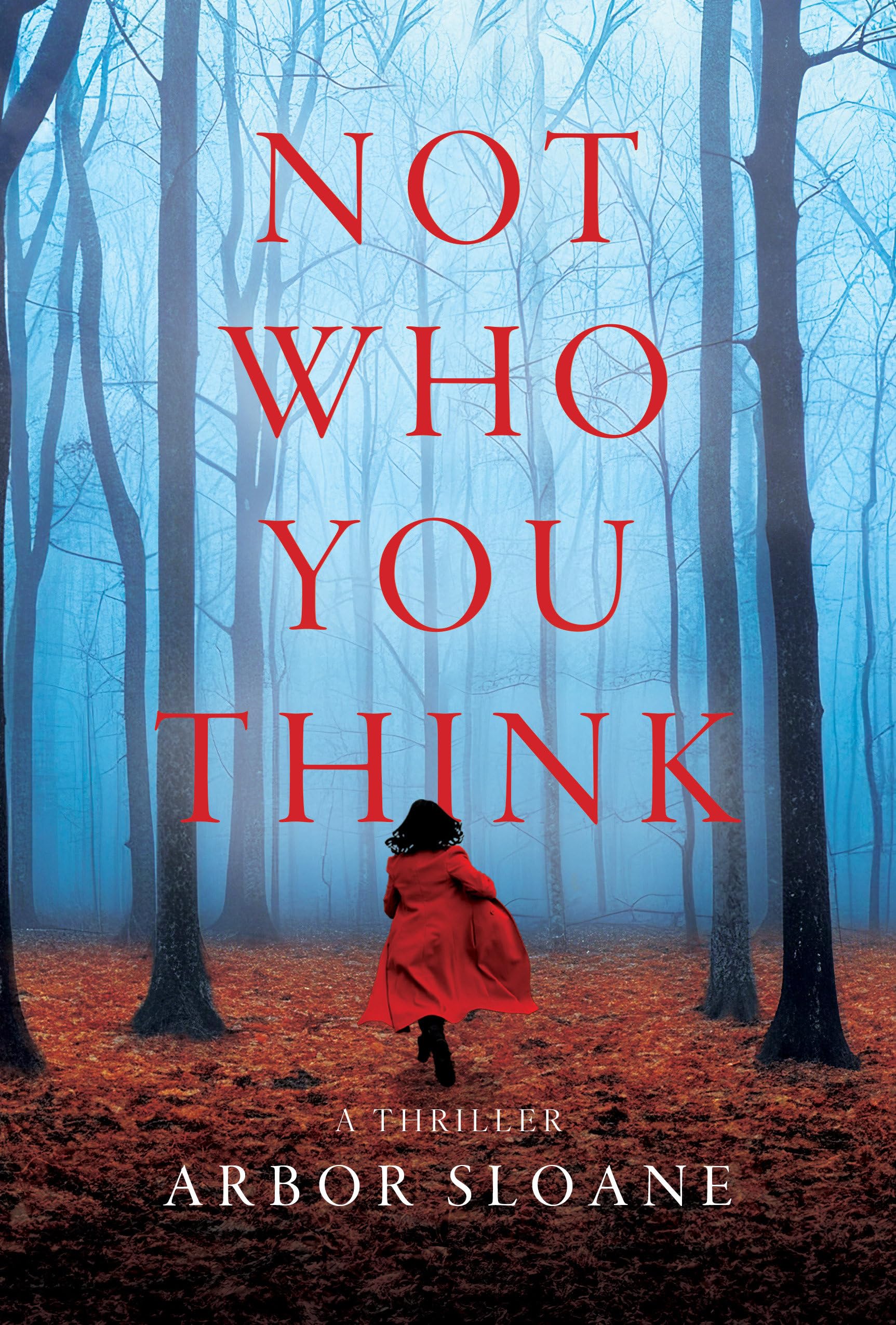 Not Who You Think: A Thriller