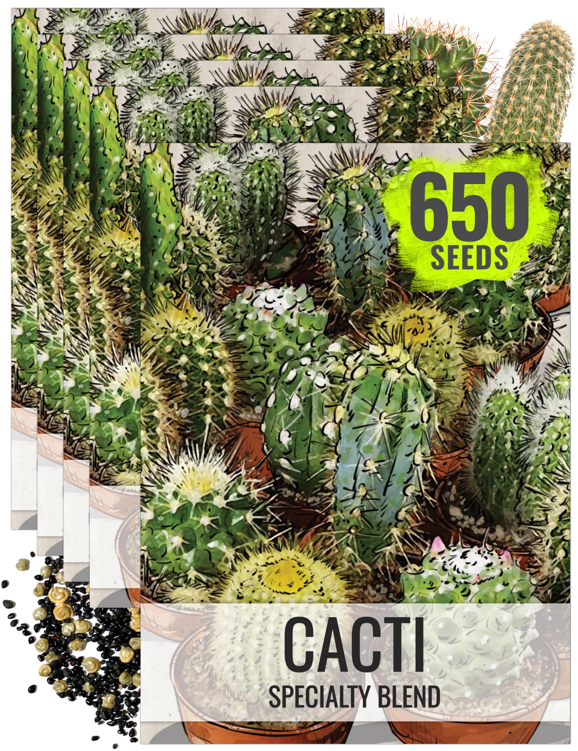 Amazon.com : Seed Needs, Mixed Cacti/Cactus Seeds - 130 Seeds for Planting  - Great Plants for Indoor Office Spaces, Easy to Grow (5 Packs) : Patio,  Lawn & Garden