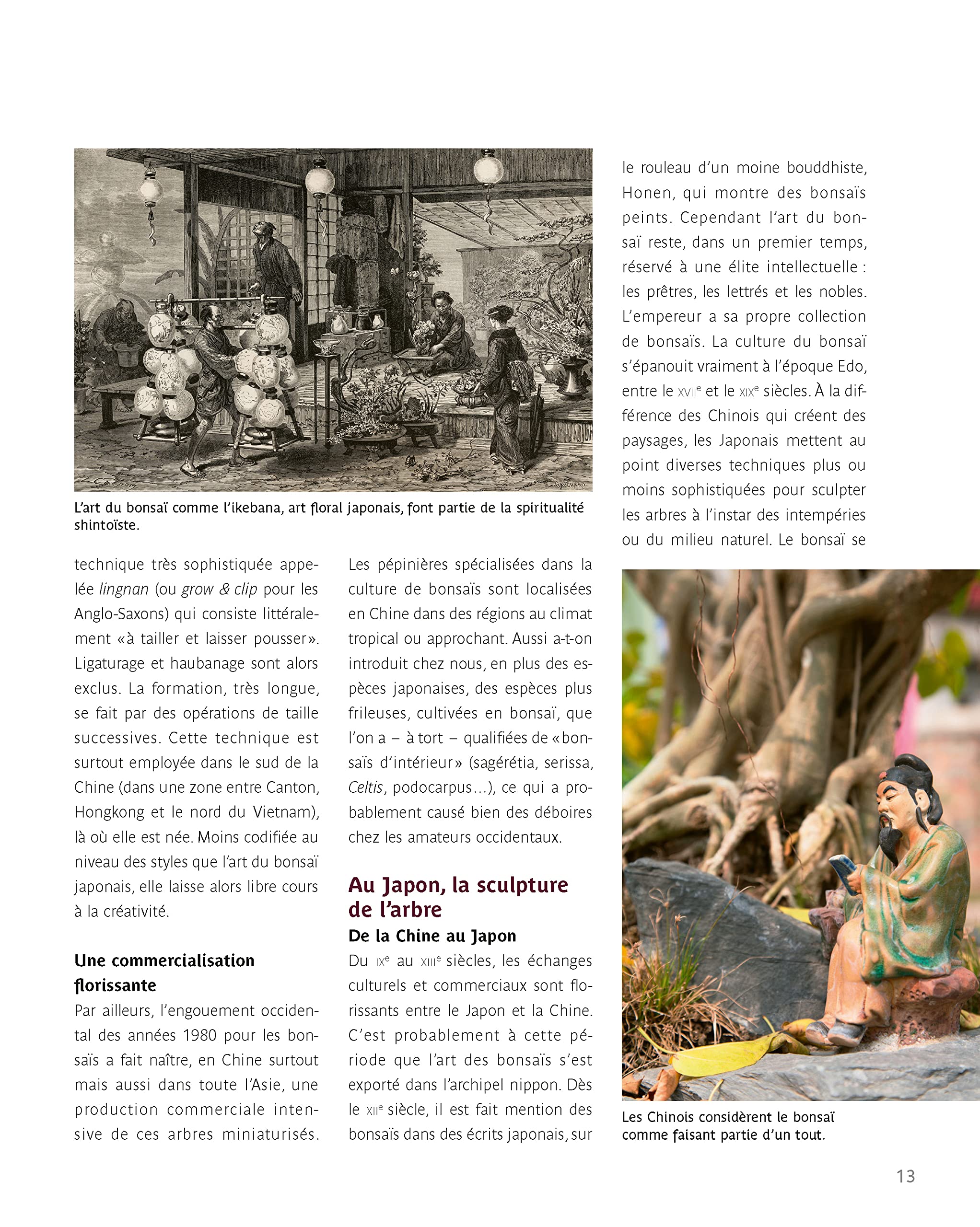 Le traité Rustica des bonsaïs