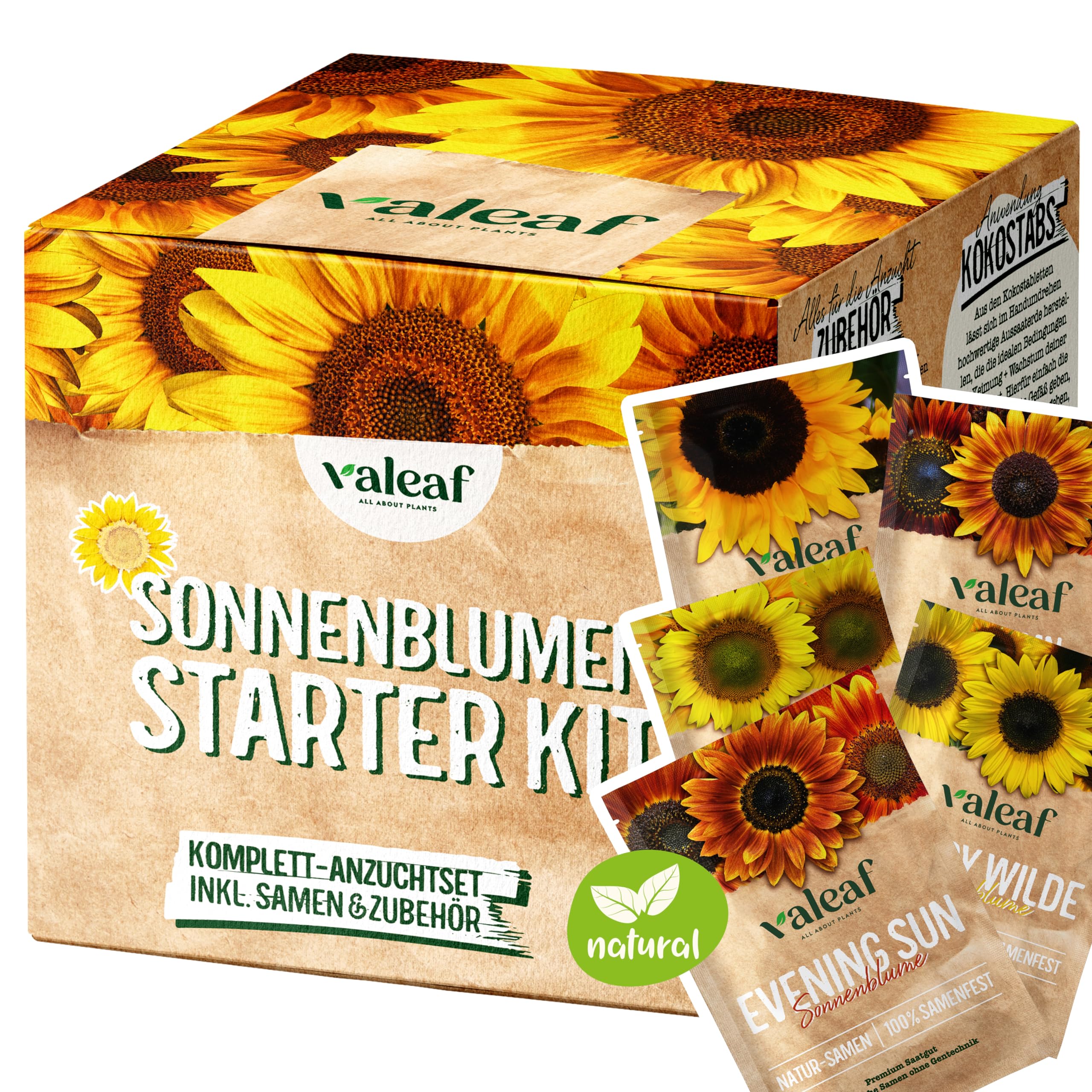 valeaf Sonnenblumen Samen Starter Set - 5 Sorten Sonnenblumensamen I Sonnenblume Blumensamen im praktischen Pflanzen Set - Sommerblumen Samen Wildblumenmischung - Blumen Samen zum Pflanzen