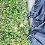 Review Image by Michelle