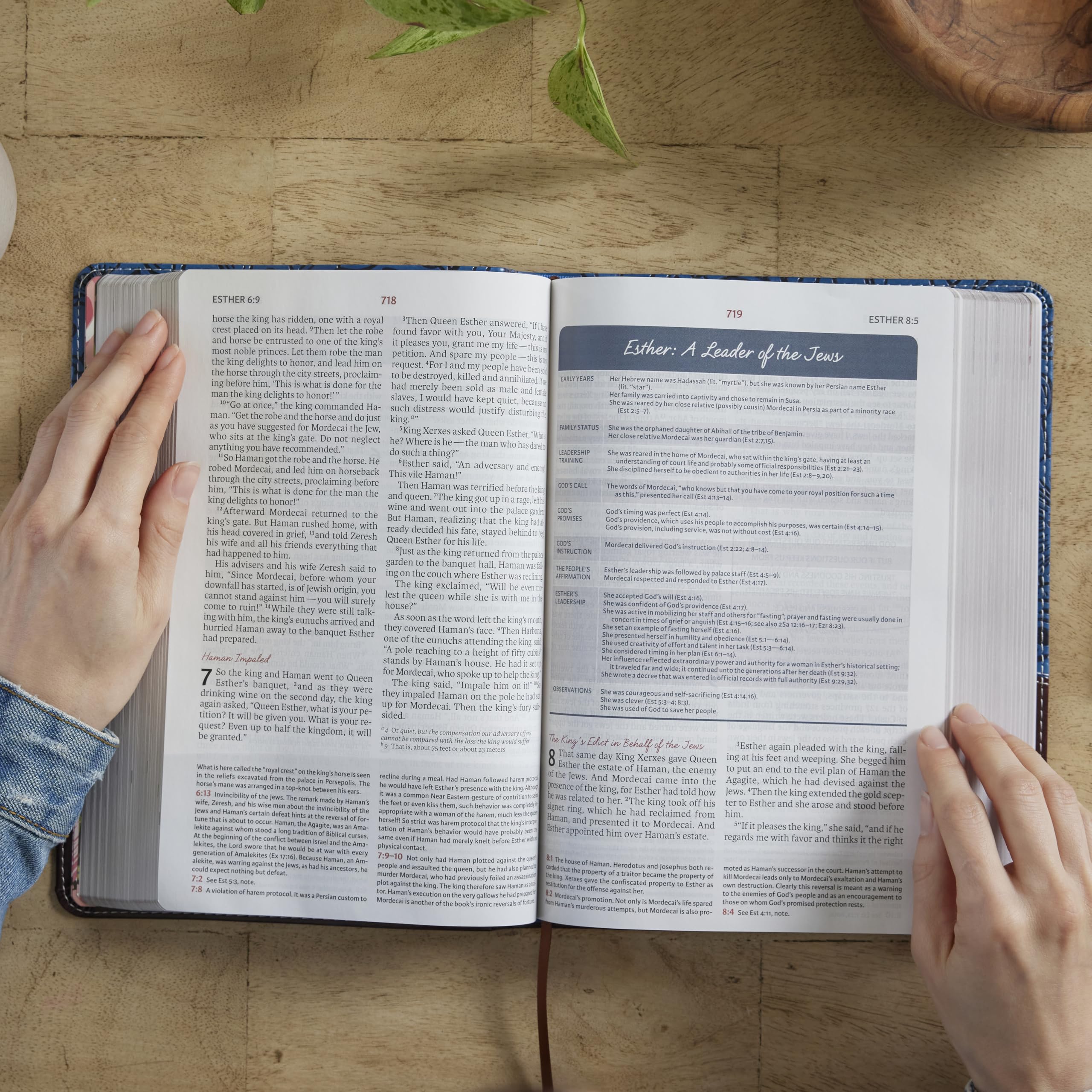 NIV, The Woman's Study Bible, Hardcover, Full-Color, Red Letter: Receiving God's Truth for Balance, Hope, and Transformation
