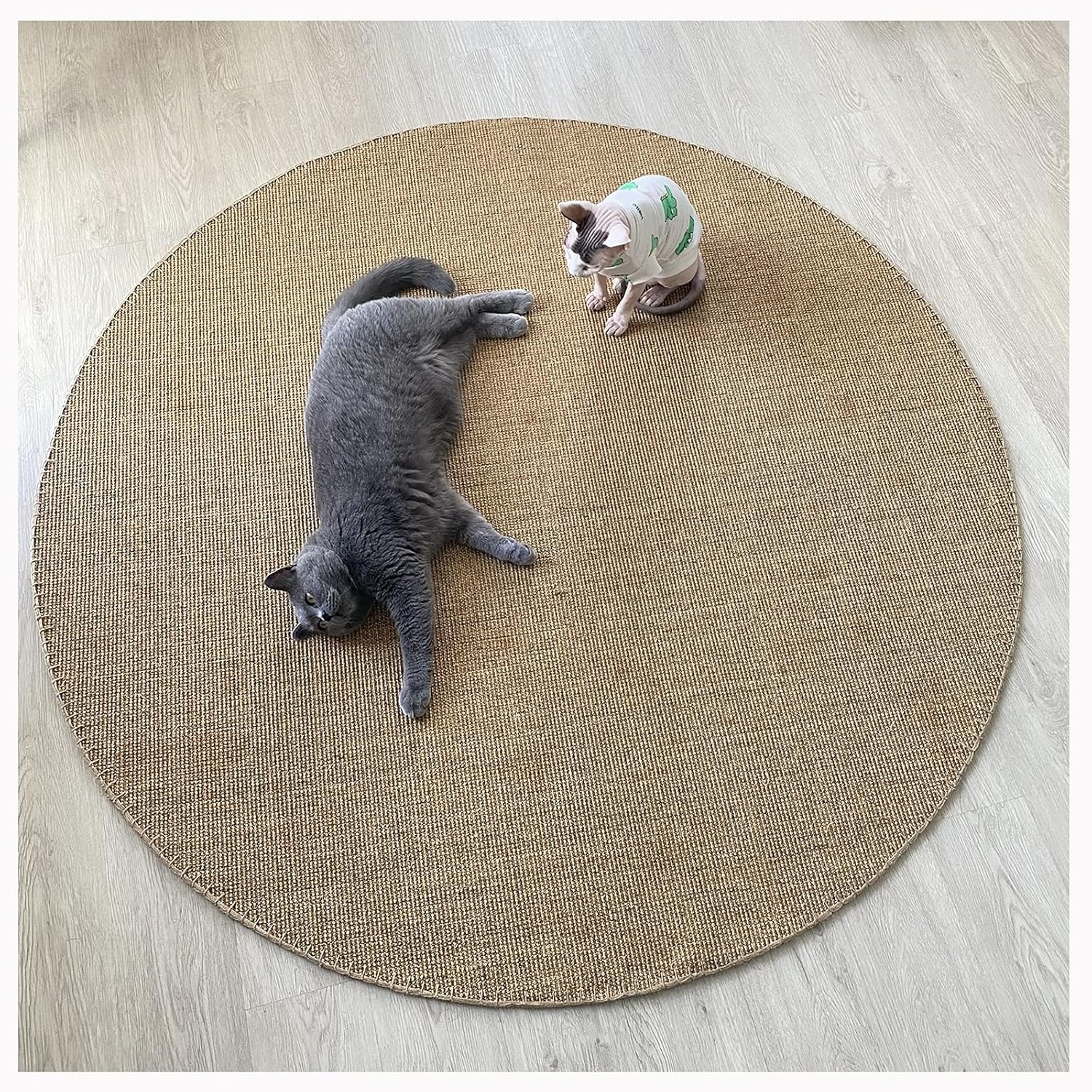 直筆】和田毅＆井口資仁＆城島健司＆杉内俊哉サイン色紙 直筆】和田毅