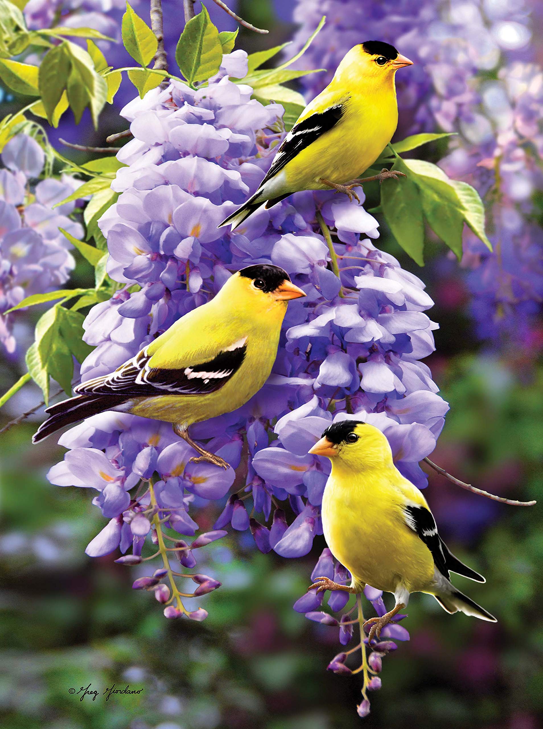 Greg Giordano Puzzles