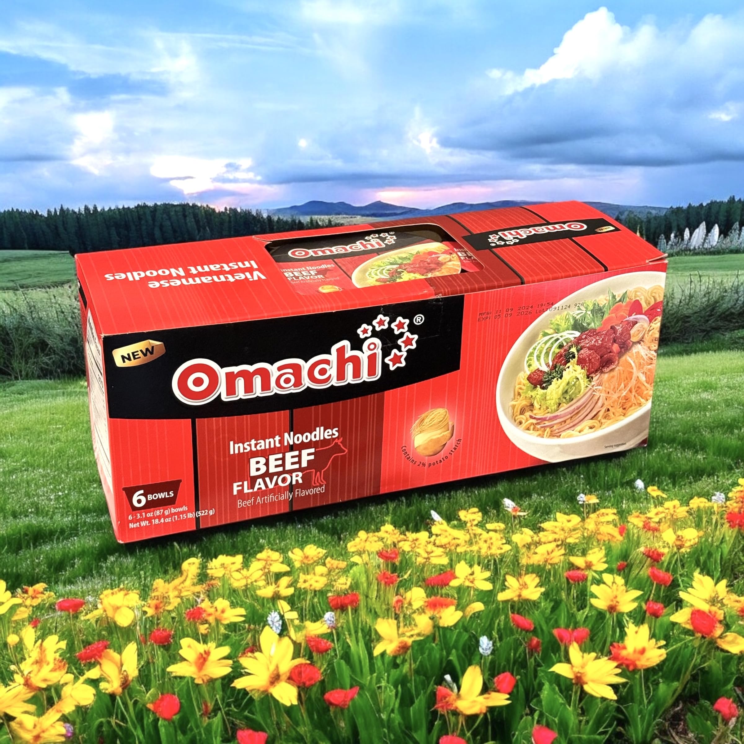 Amazon.com : Asia Style Instant Noodles (CASE SET, OMACHI STEWED