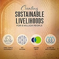 Vista 8 de Kitchens Of India Listo para comer Dal Bukhara