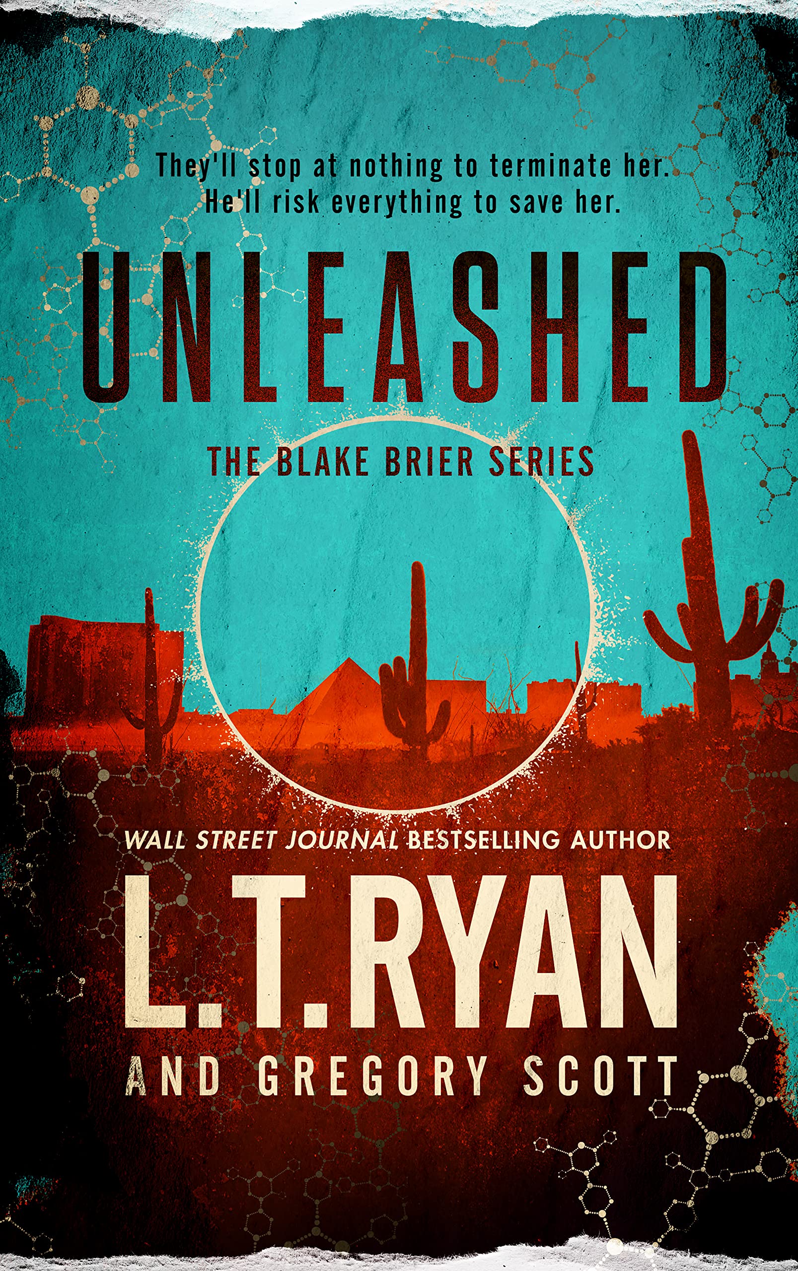 Unleashed (Blake Brier Thrillers Book 2)