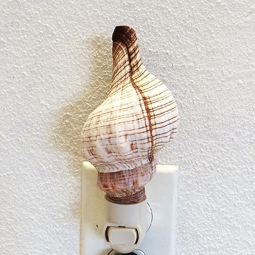 Miniatura 2 de PEPPERLONELY Amarillo Copa Mexicana Conchas de Mar Luz Nocturna Luz Nocturna Náutica Natural Concha Playa Decoración del Hogar