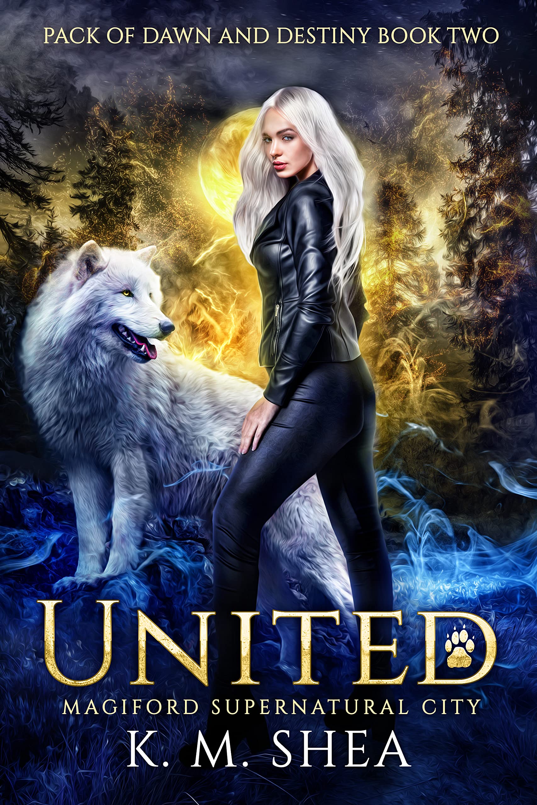 Cover of United