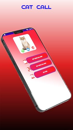 A Call From Cat Video Calling