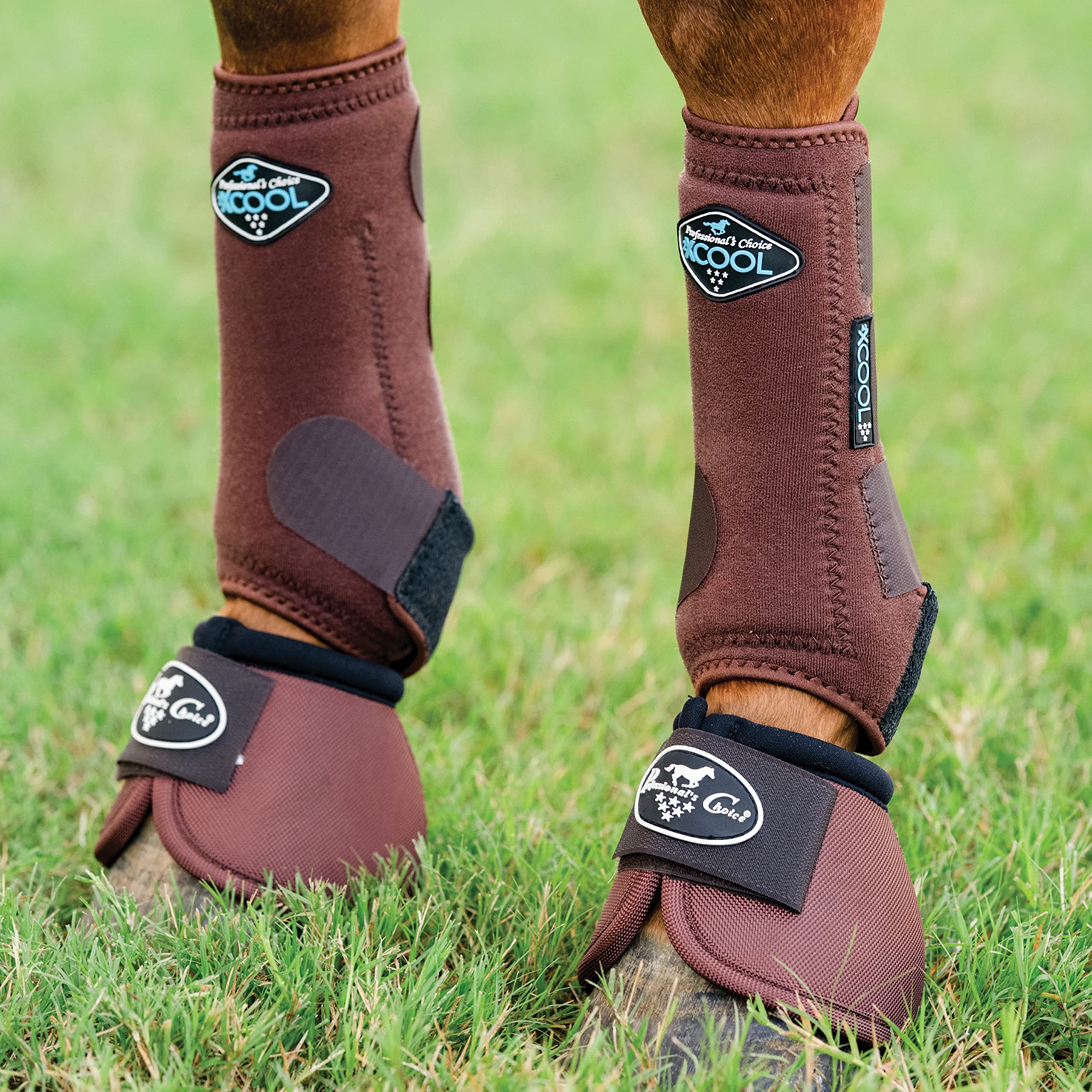 Professionals Choice Equine Ballistic - Dos campanas para caballo., S, Chocolate