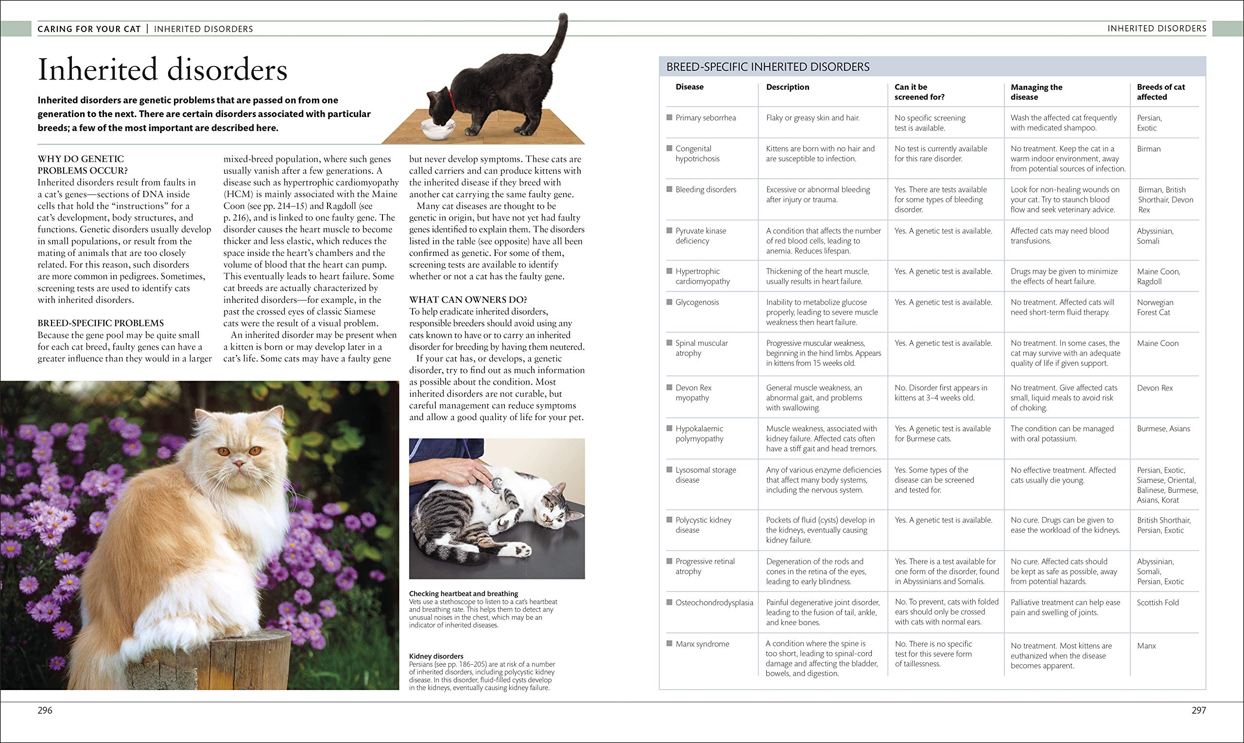 The Cat Encyclopedia: The Definitive Visual Guide (DK Pet Encyclopedias) - Image 7