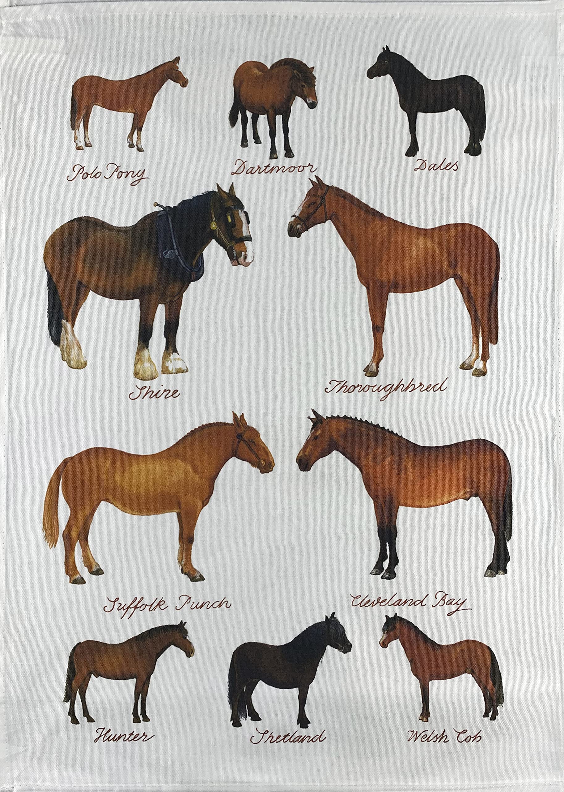 Half a Donkey Hand Drawn Collection of Horse Breeds Large Cotton Tea Towel