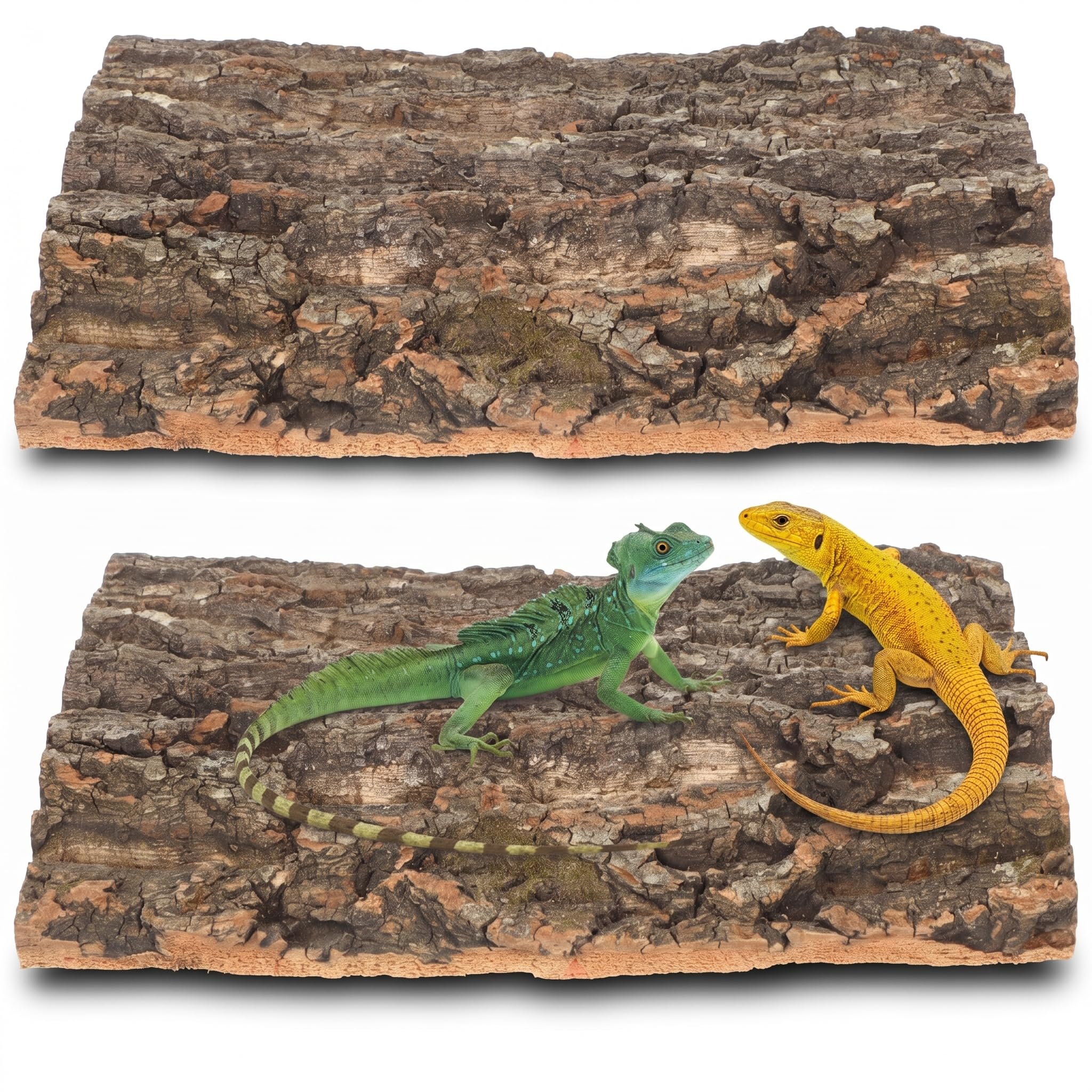 Housoutil Corteza de corcho de fondo 2 piezas de corteza de reptil terrario de corcho para lagartos, serpientes, arañas, cangrejos ermitaños, tarántulas, geckos, barbudos