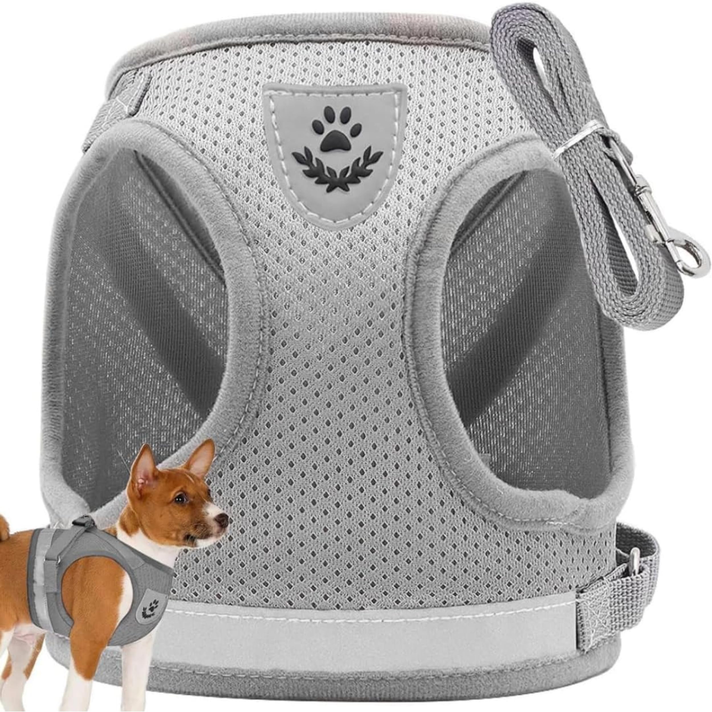 PARENCE. - Small Dog Cat Harness with Leash - Adjustable Breathable Mesh Vest Safety and Comfort for Puppies Kittens and Small Animals