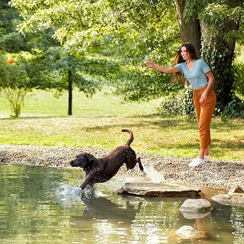 Miniatura 7 de Natures Recipe Alimento seco para perros sin granos fácil de digerir con carne real batata y calabaza