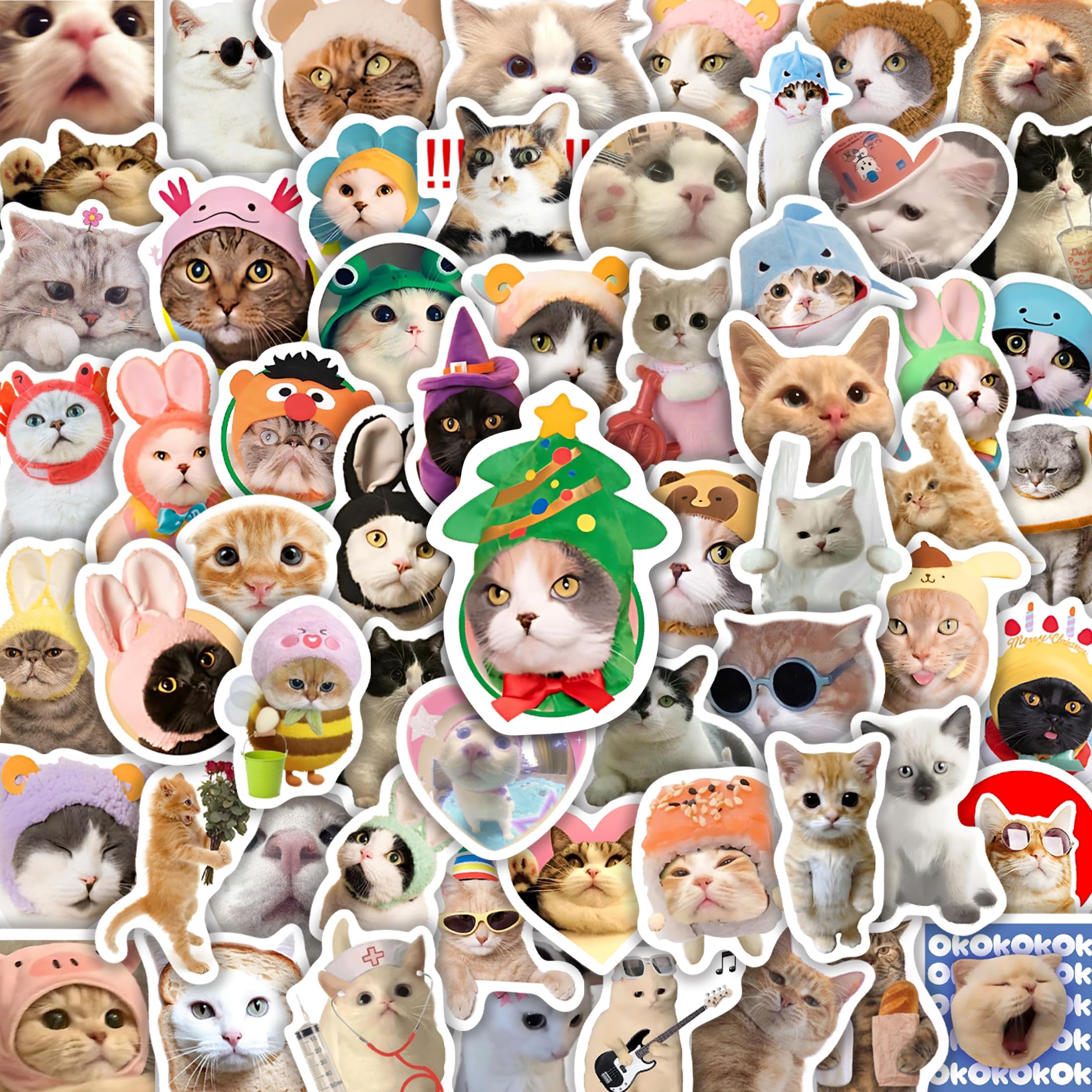50 Funny Cat Stickers - Meme Laptop Decals, Waterproof Vinyl Kawaii Animal Stickers for Water Bottle, Phone Case, Luggage, Scrapbook, Hard Hat, Bumper, Cat Lover
