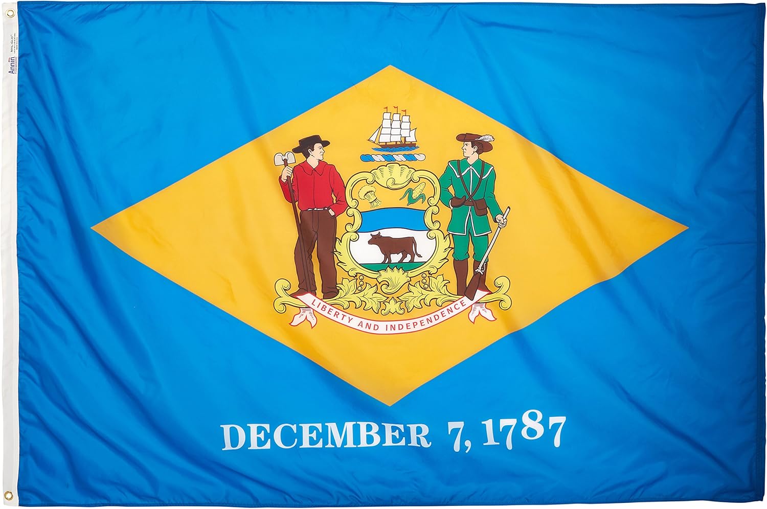 Annin Flagmakers Delaware State Flag USA-Made to Official State Design Specifications, 3 x 5 Feet (Model 140860)