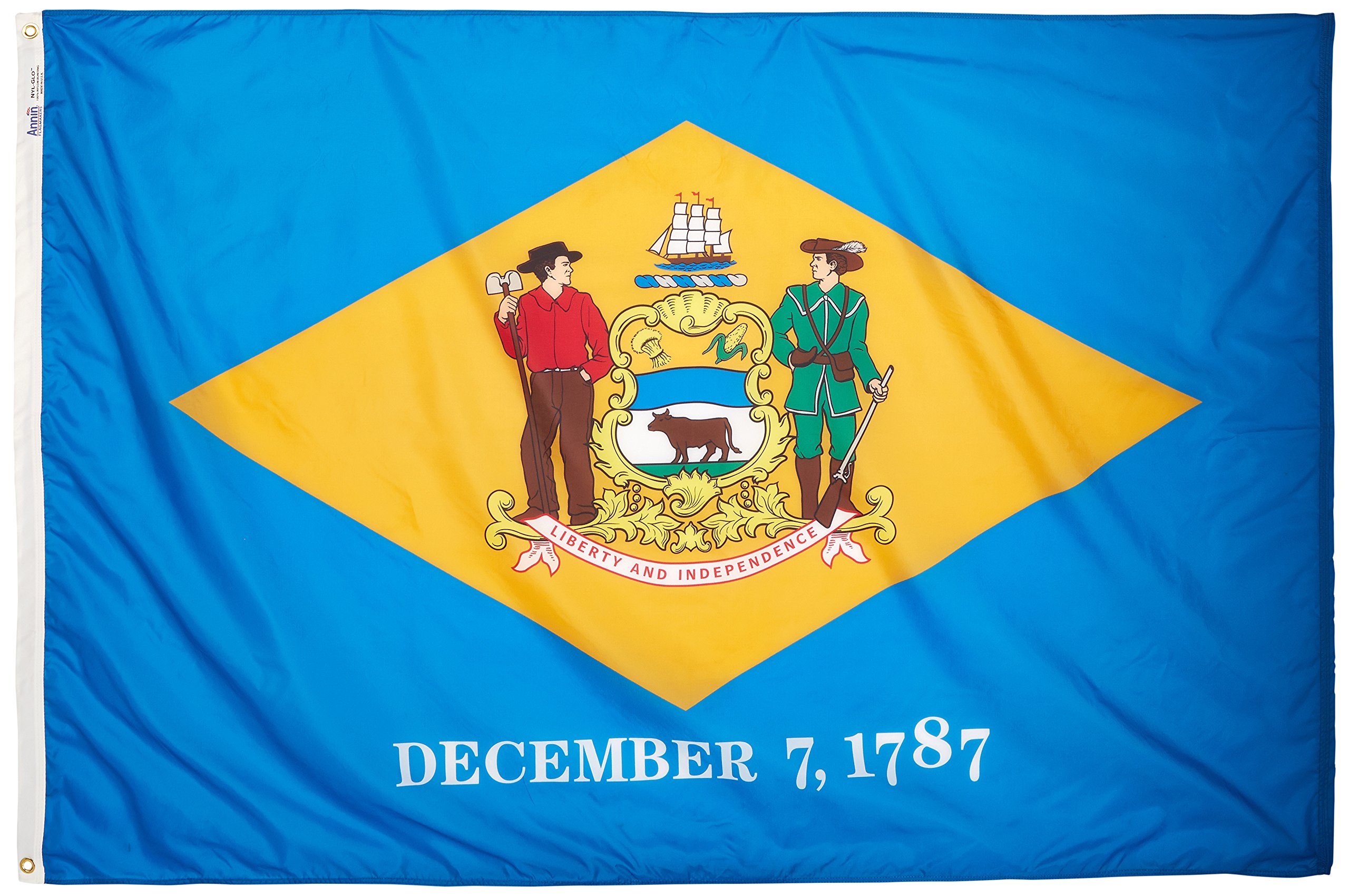 Drapeau officiel du Delaware en nylon SolarGuard NYL-Glo haute résistance par Annin Flagmakers