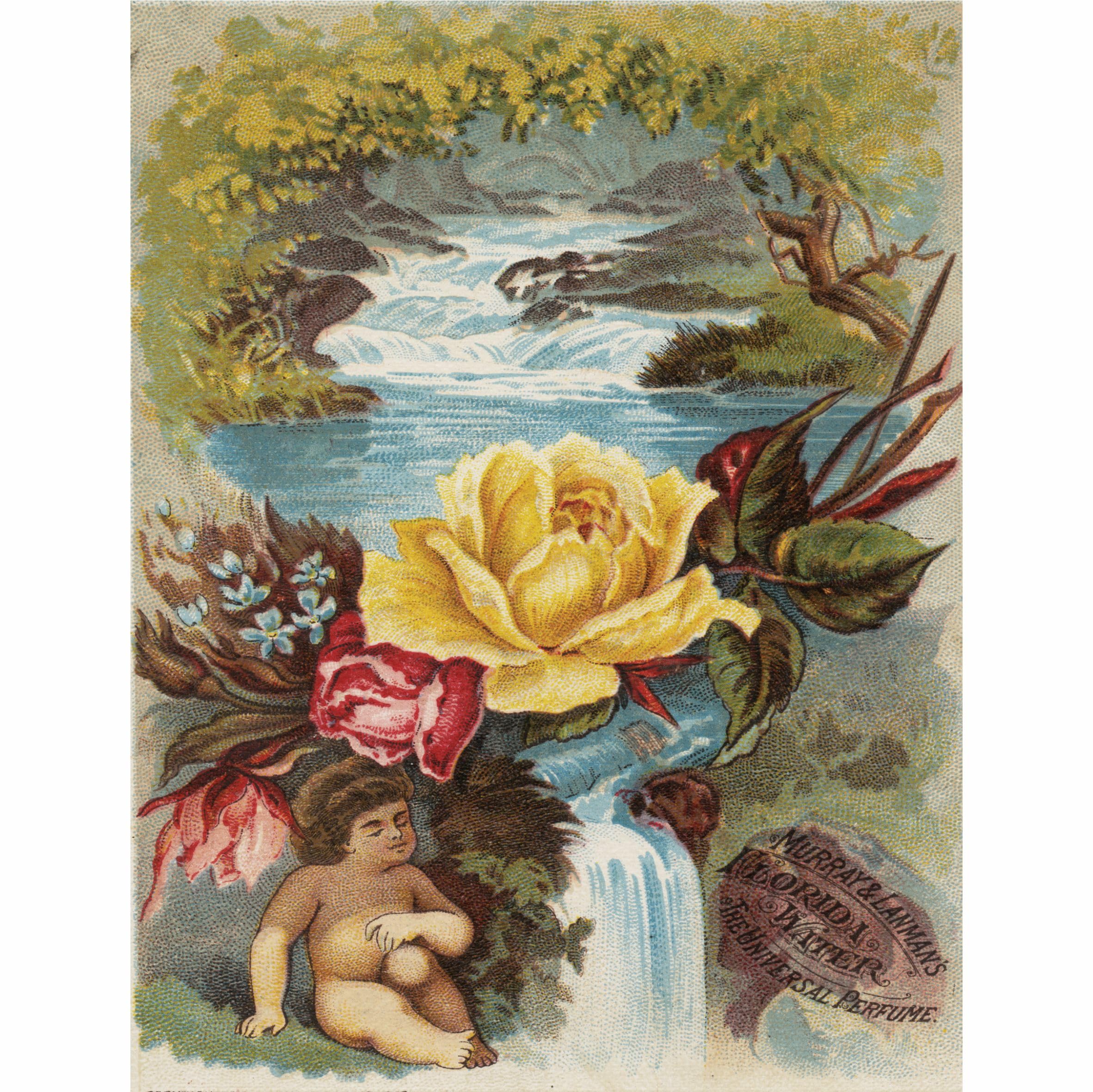Animals Rice Paper, 8 X 10.5 Inch 6pc - Mulberry Zambia