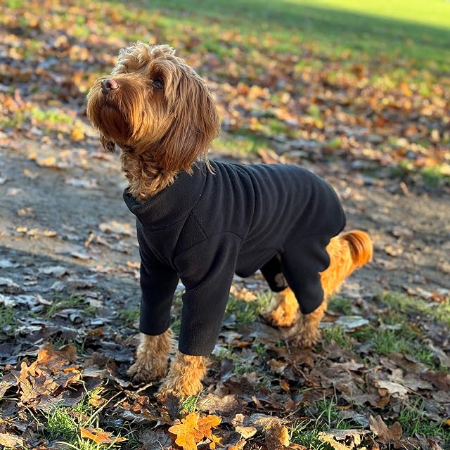 Forro polar cálido para perro, disponible en cinco tamaños y cinco colores (negro, grande (cuatro patas))