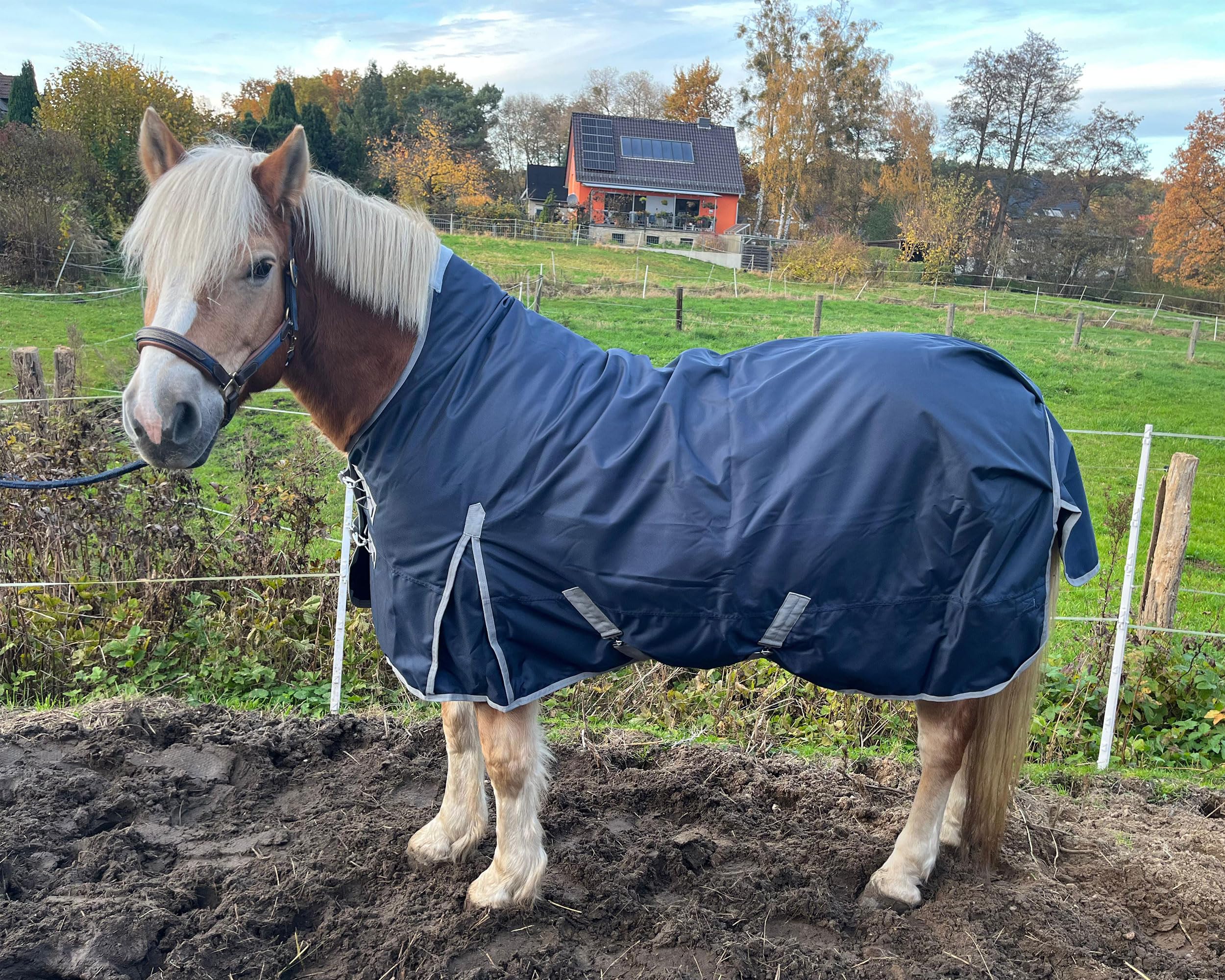 Brama-West Winterdecke Pferd Nell | Outdoordecke mit Highneck |1680D - 50g Füllung | Pferdedecke reisfest, wasserdicht und atmungsaktiv | Blau (135)