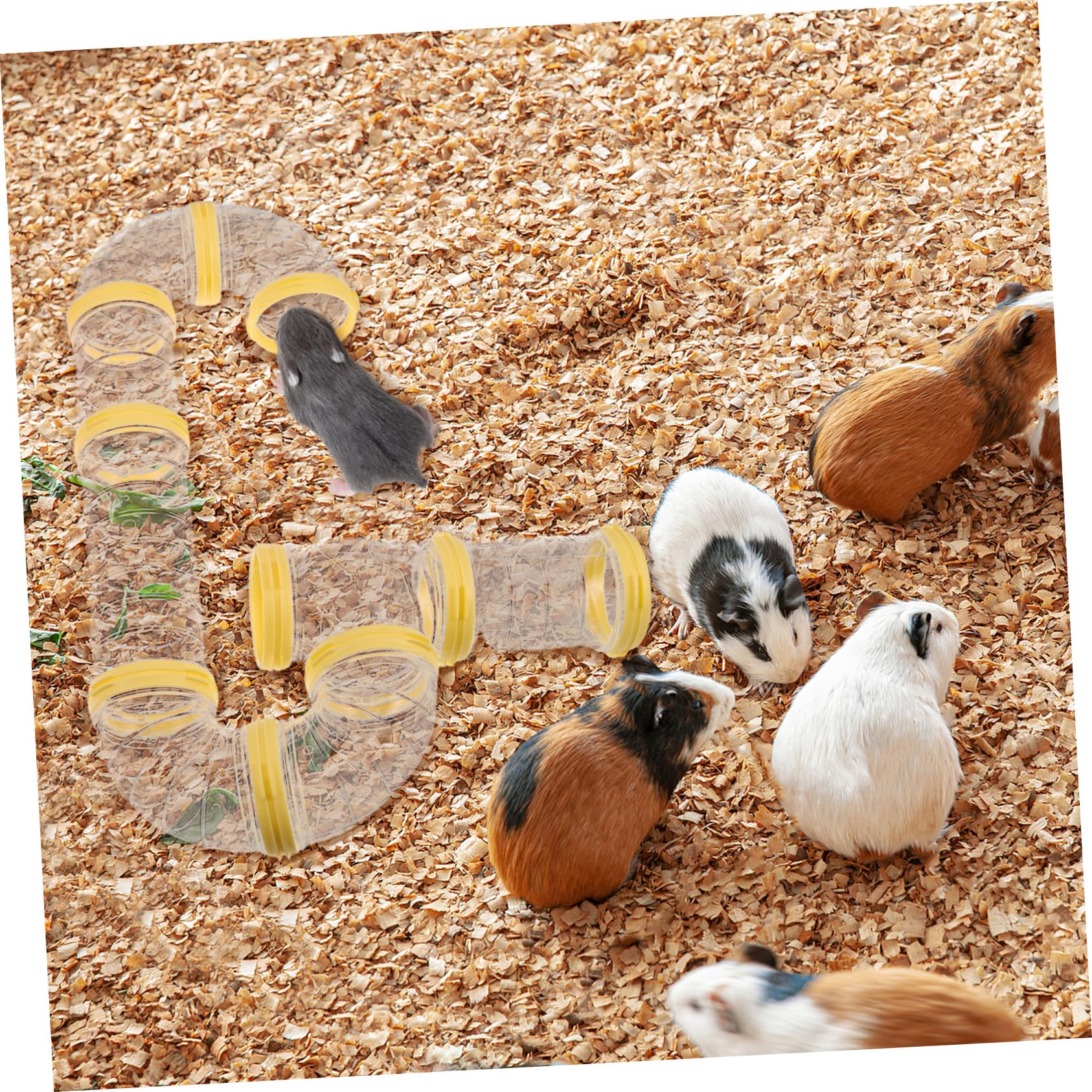 Tunnel di Gioco per Animali in Plastico Trasparente 2 Set per Criceti e Furetti, Accessori per Gabbie per Piccoli Animali Domestici