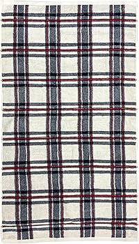 【ぽけもん】Polo Ralph Lauren チェックタオルケット 91ayU1Z7BRL._AC_UF350,