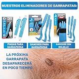 Ver la foto 6