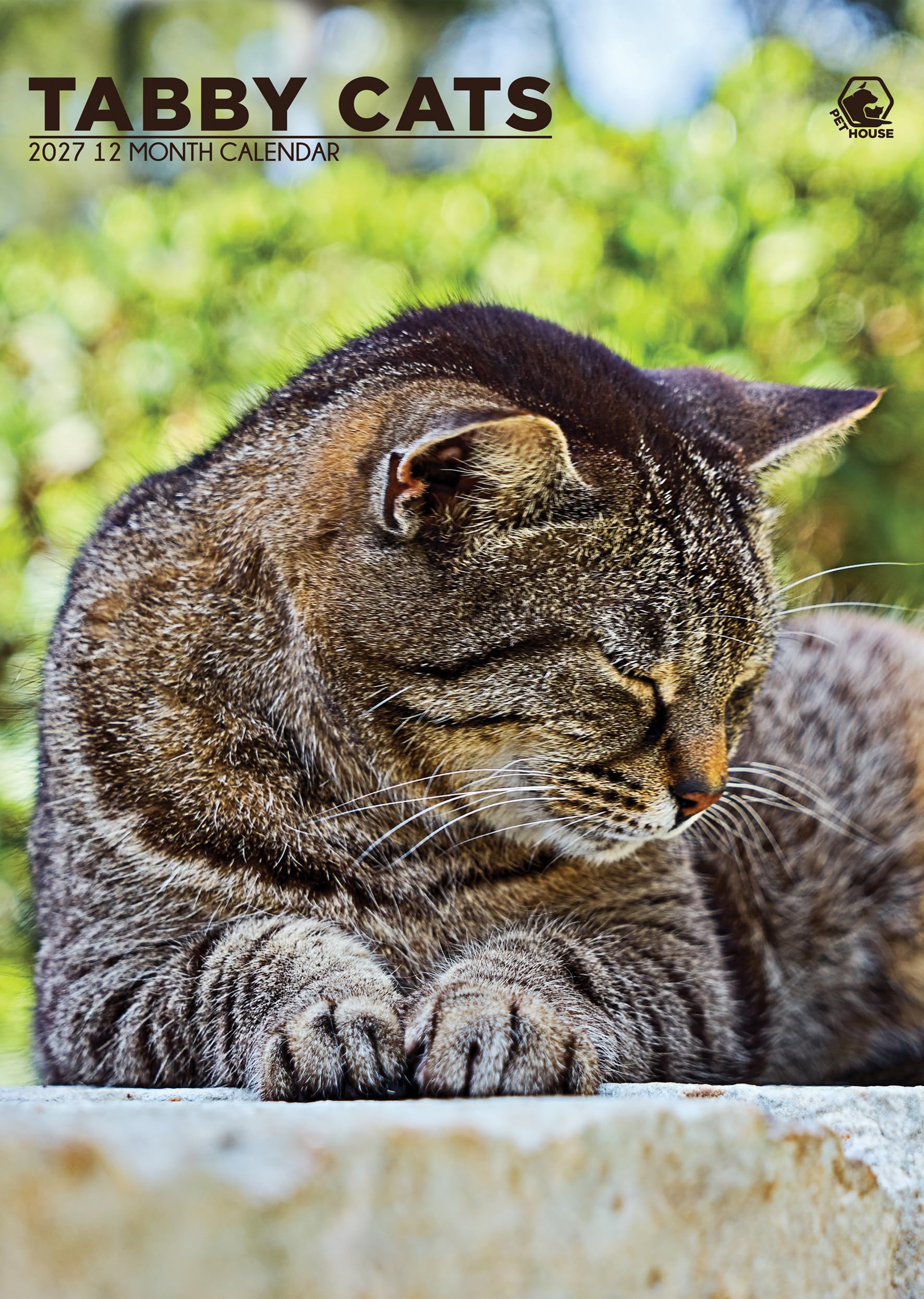 Tabby Cats 2027 Calendar, A3, Full Colour, Wirobound (CRU)