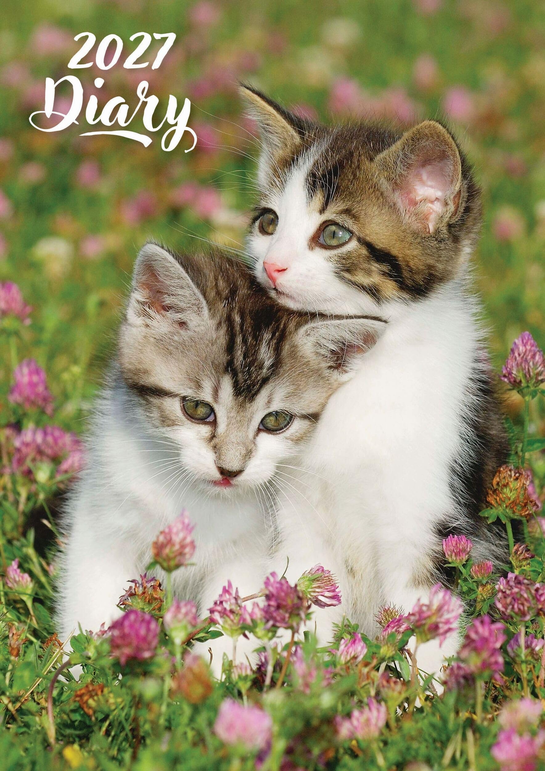 2027 A5 Weekly Diary – Cute Kittens Cat Design | Week-to-View Planner, Hardback Organiser with Ribbon Marker, 160 Pages
