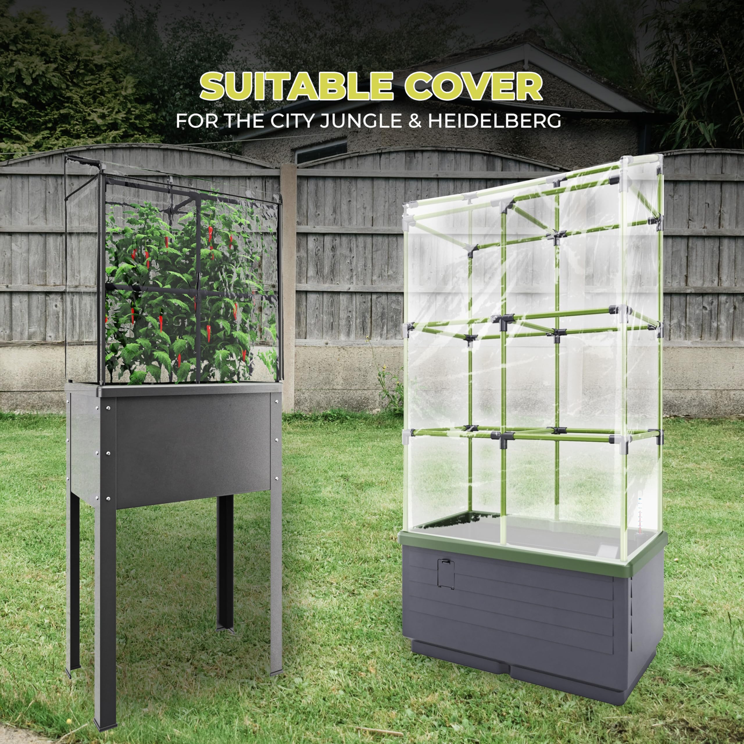 Bio Green JGL-C City Jungle pokrywa, przezroczysta