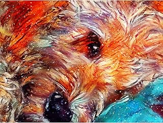 Lazy Cockapoo Dog A4 Wall Art Décor, Abstract Cocker poodle Dog Memorial, Abstract Dog Picture Gift Hand-signed by Dog Portrait Artist Oscar Jetson.