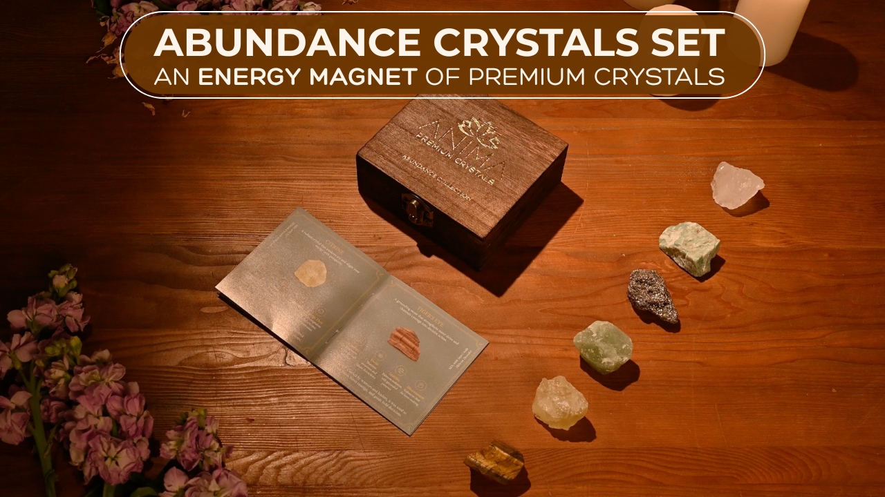 Amazon.com: Anima Premium Abundance Healing Crystals Set for