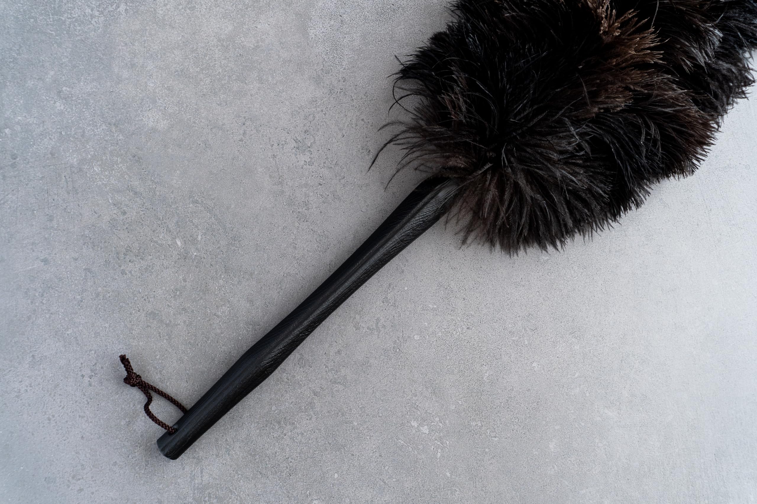 Amazon.co.jp: 向島自動車用品製作所 MYS PLUS PRO 毛ばたき