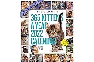 2022 365 Day Cat Calendar