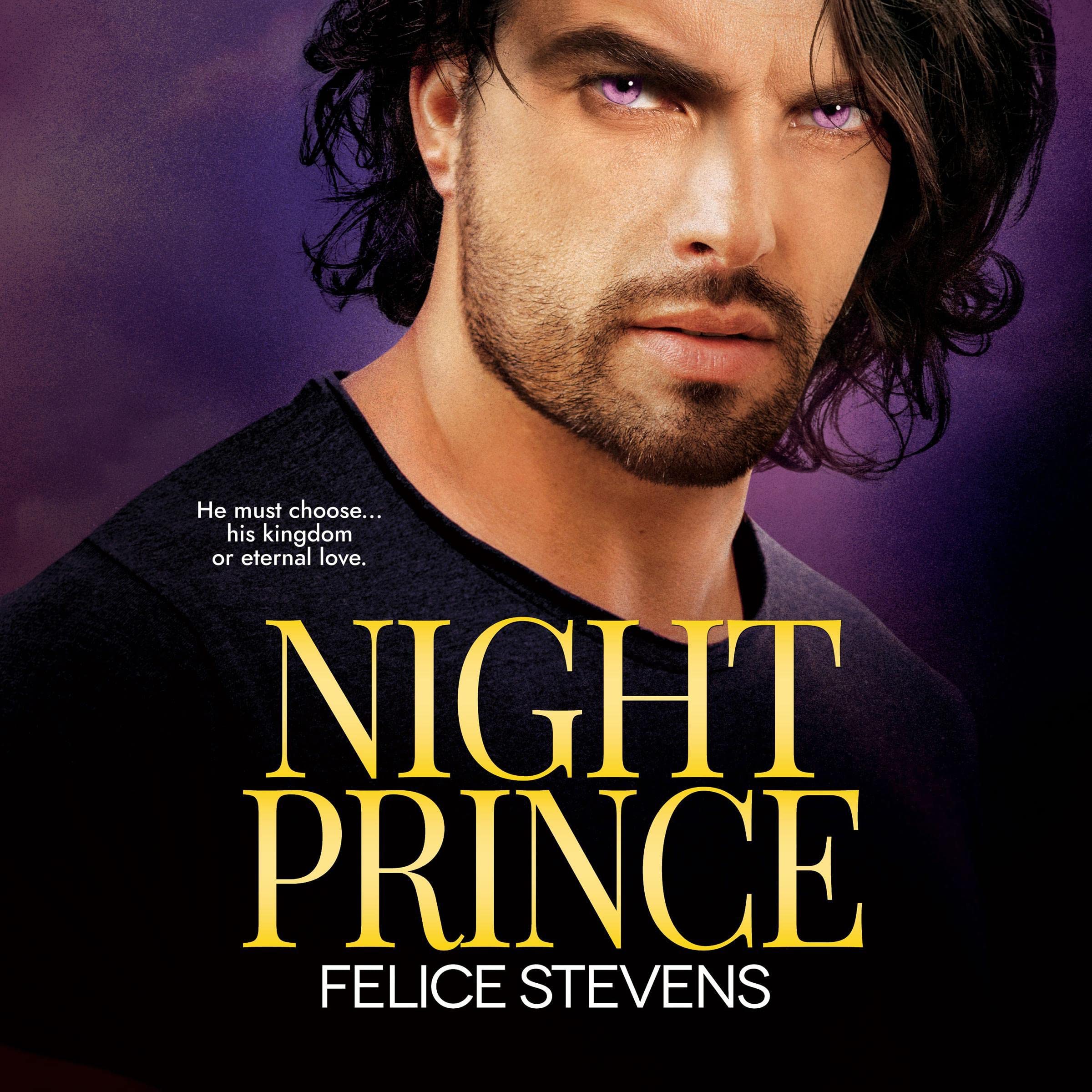 Cover art for Night Prince