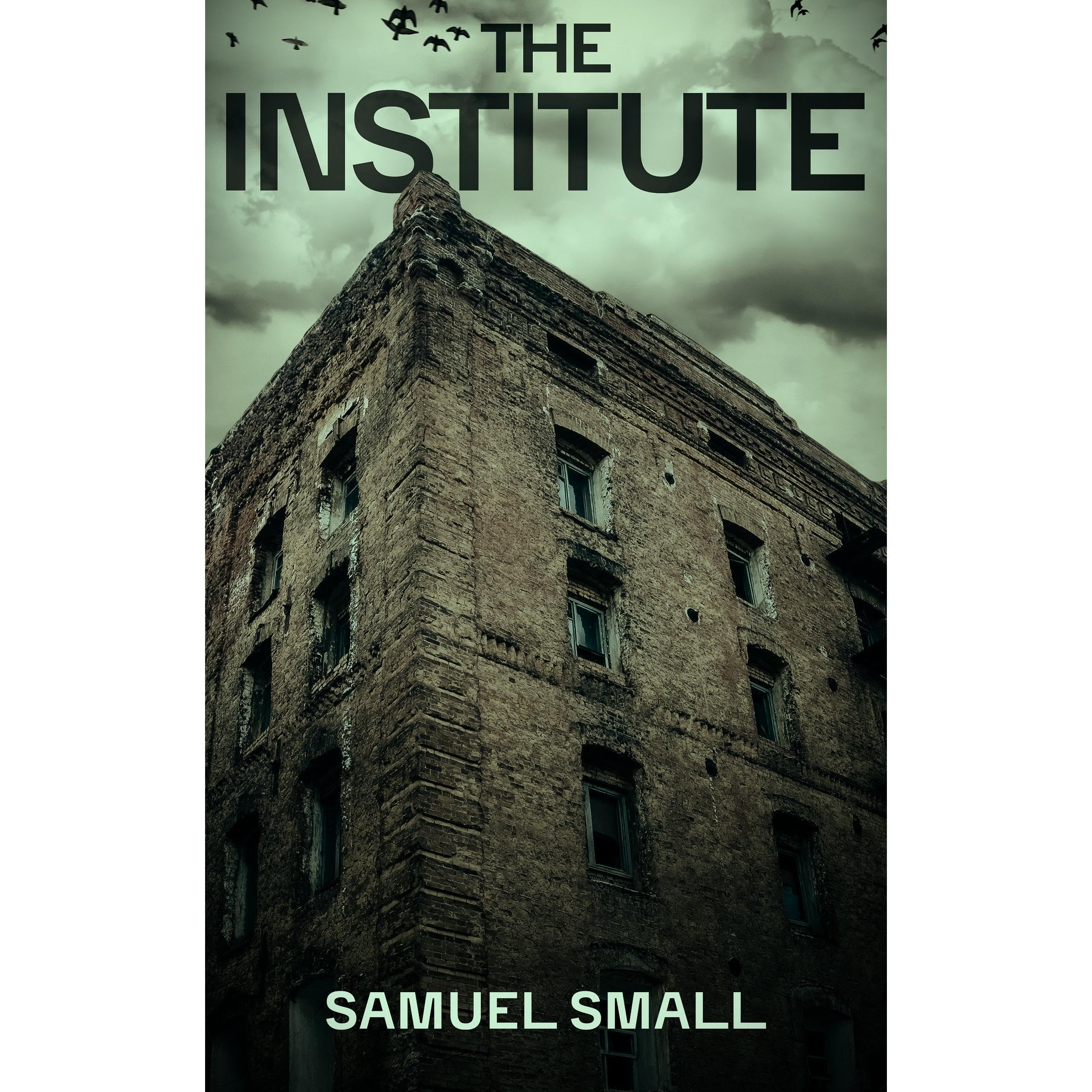 The Institute: A Haunting Horror Novel