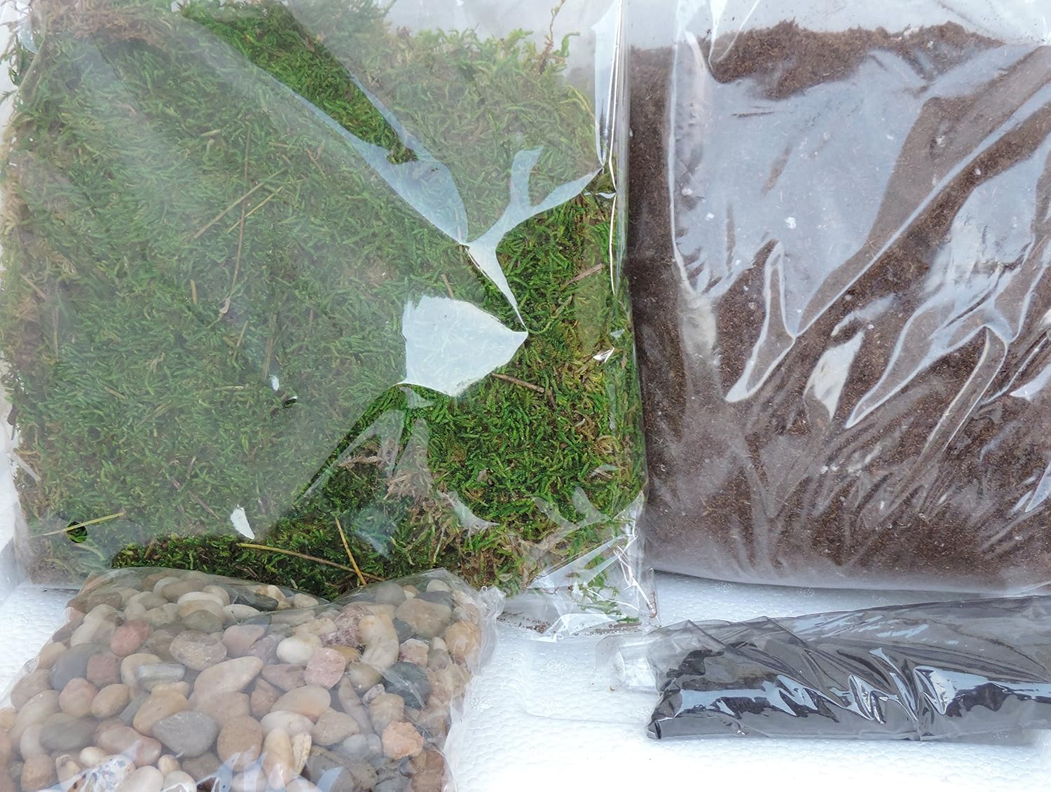 Terrarium Essentials Kit sold by JM Bamboo