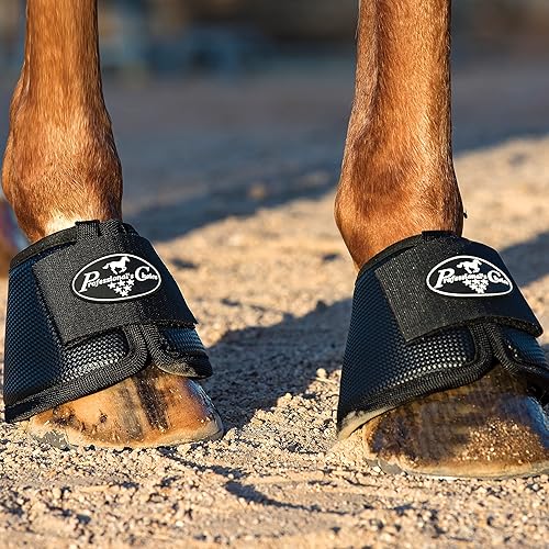 Vista 21 de Professional's Choice Botas de campana multiusos para caballos Se venden en pares