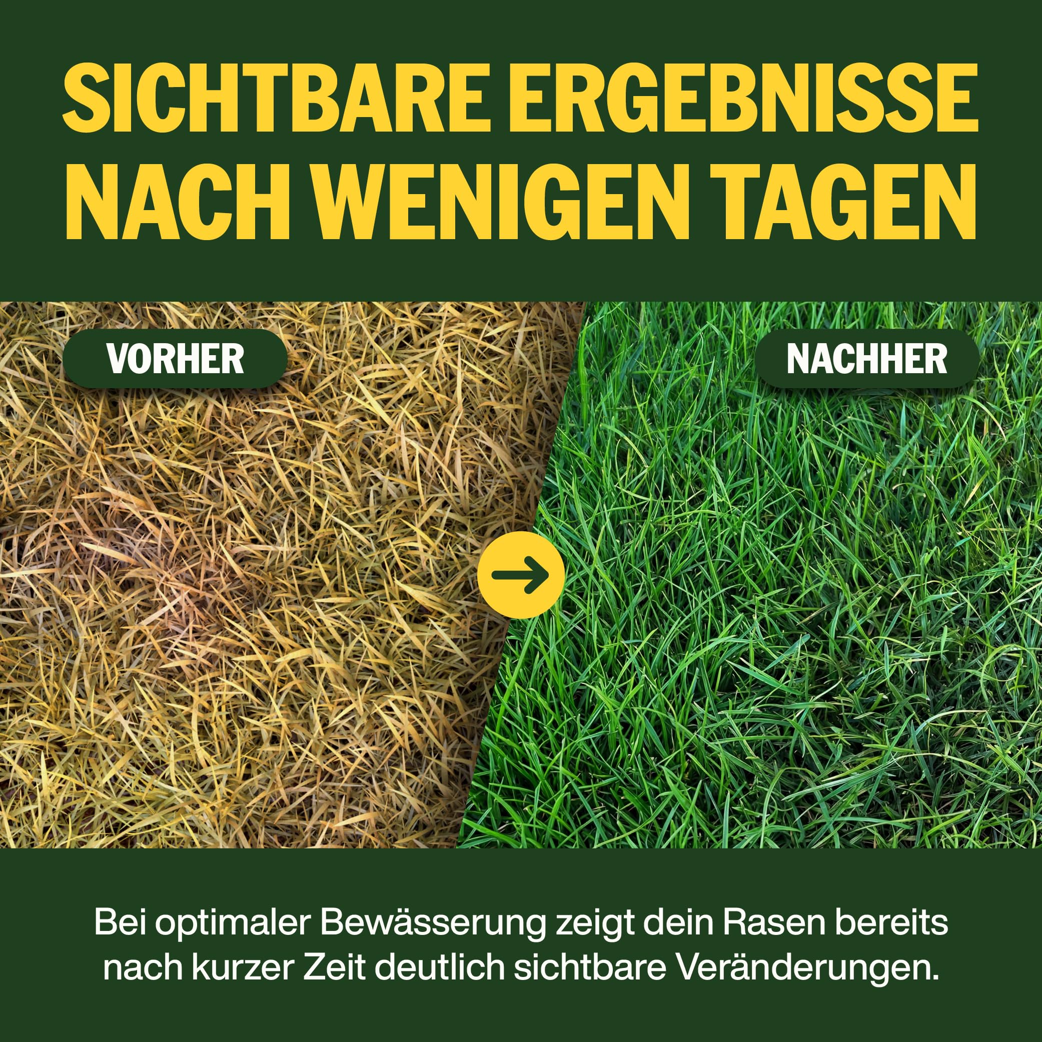 SUPERGREEN Sommer-Rasendünger Langzeitformel 10kg NPK 12-5-15 Granulat 2-5 mm