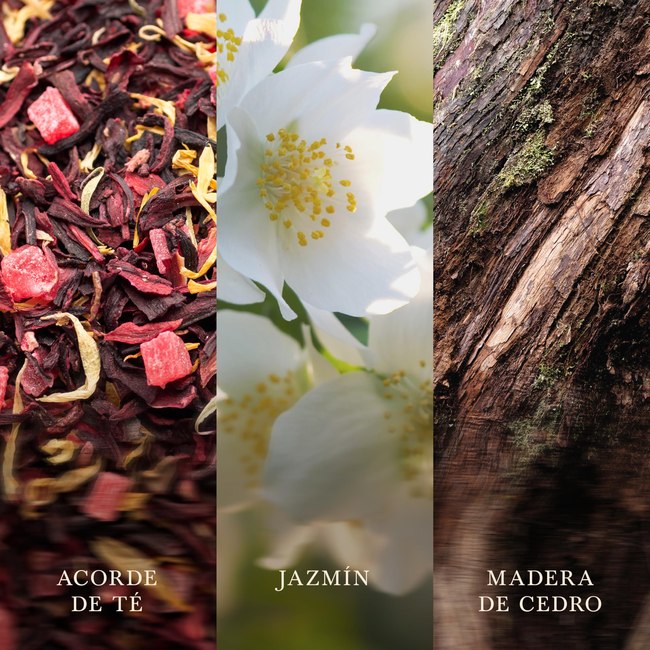 WoodWick | Vela Elíptica | Té Blanco y Jazmín | Gran regalo para mujeres