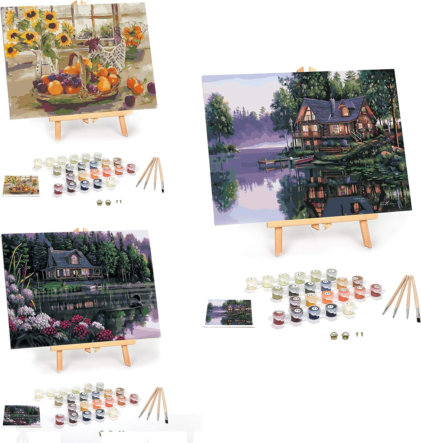 Paint by Numbers for Adults Beginner to Advanced Number