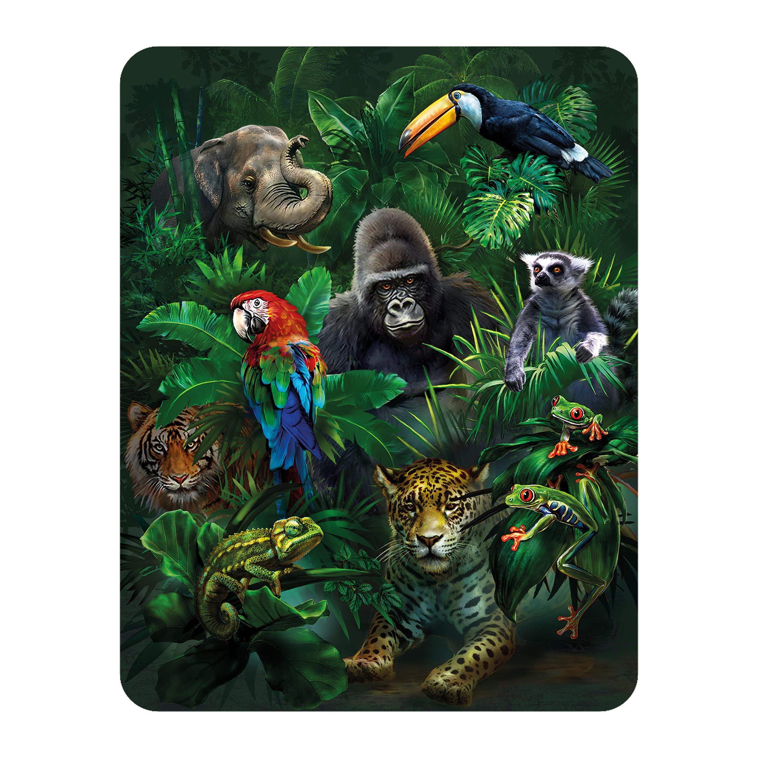 3D LiveLife Magnet - Jungle Pals from Deluxebase. Lenticular 3D Wild Animal Fridge Magnet. Magnetic decor for kids and adults with artwork licensed from renowned artist, Tami Alba