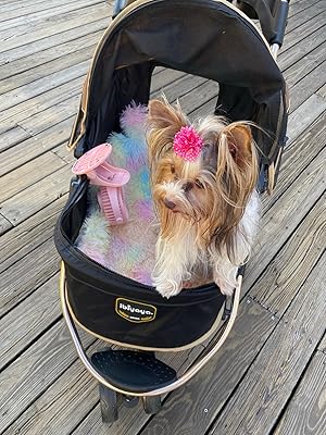 yorkie stroller