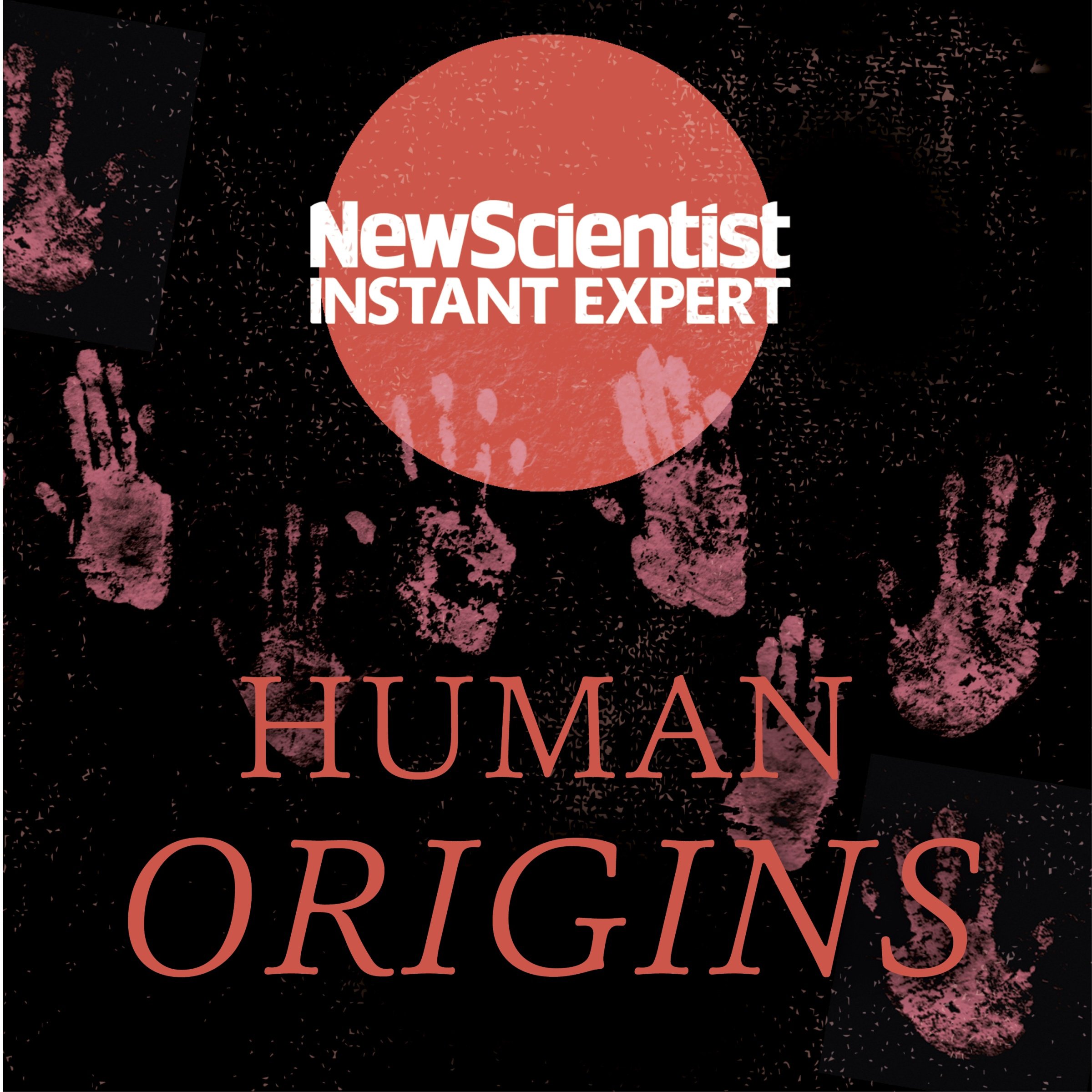 Cover art for Human Origins