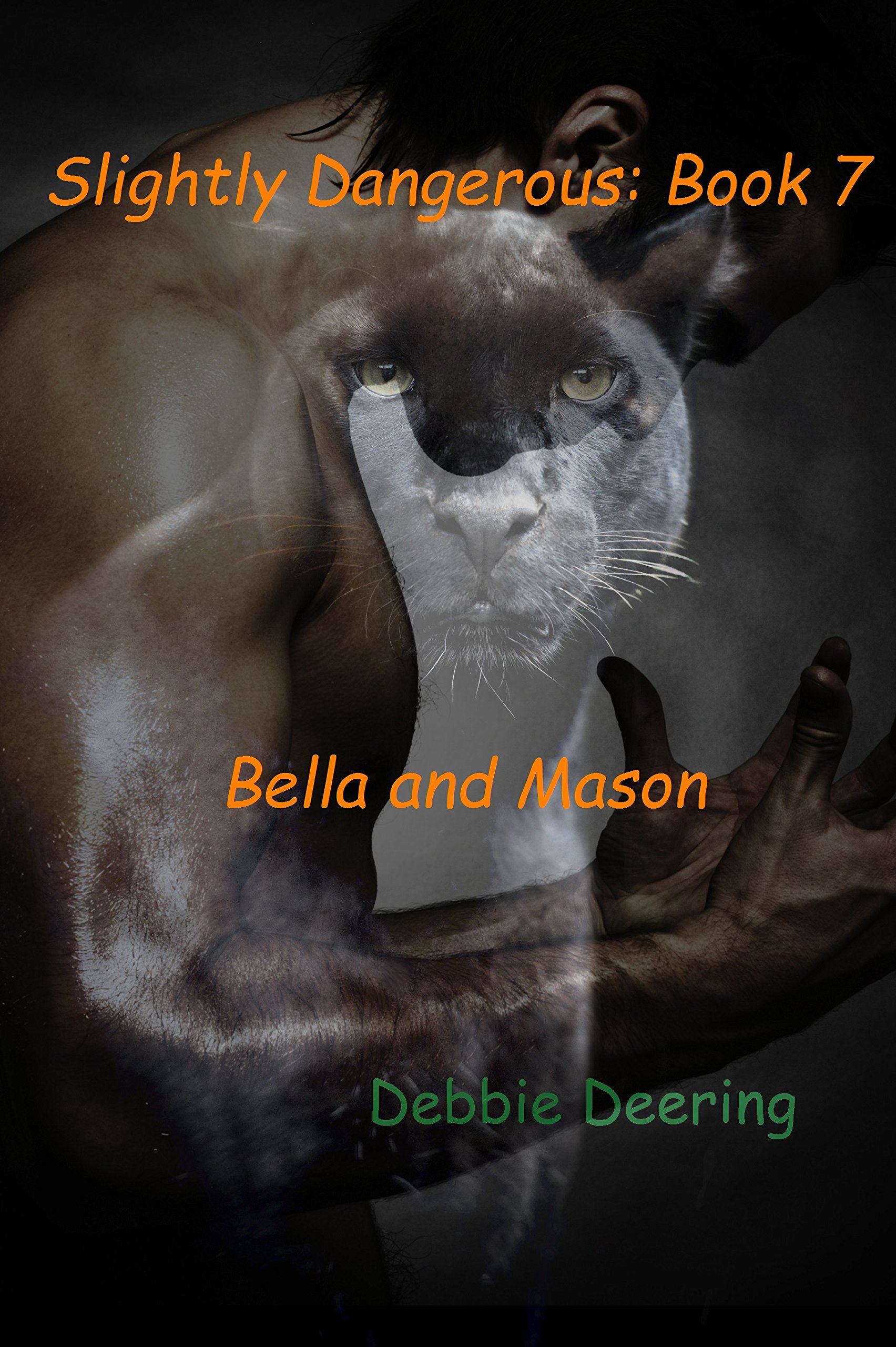 Bella and Mason (Slightly Dangerous Book 7)