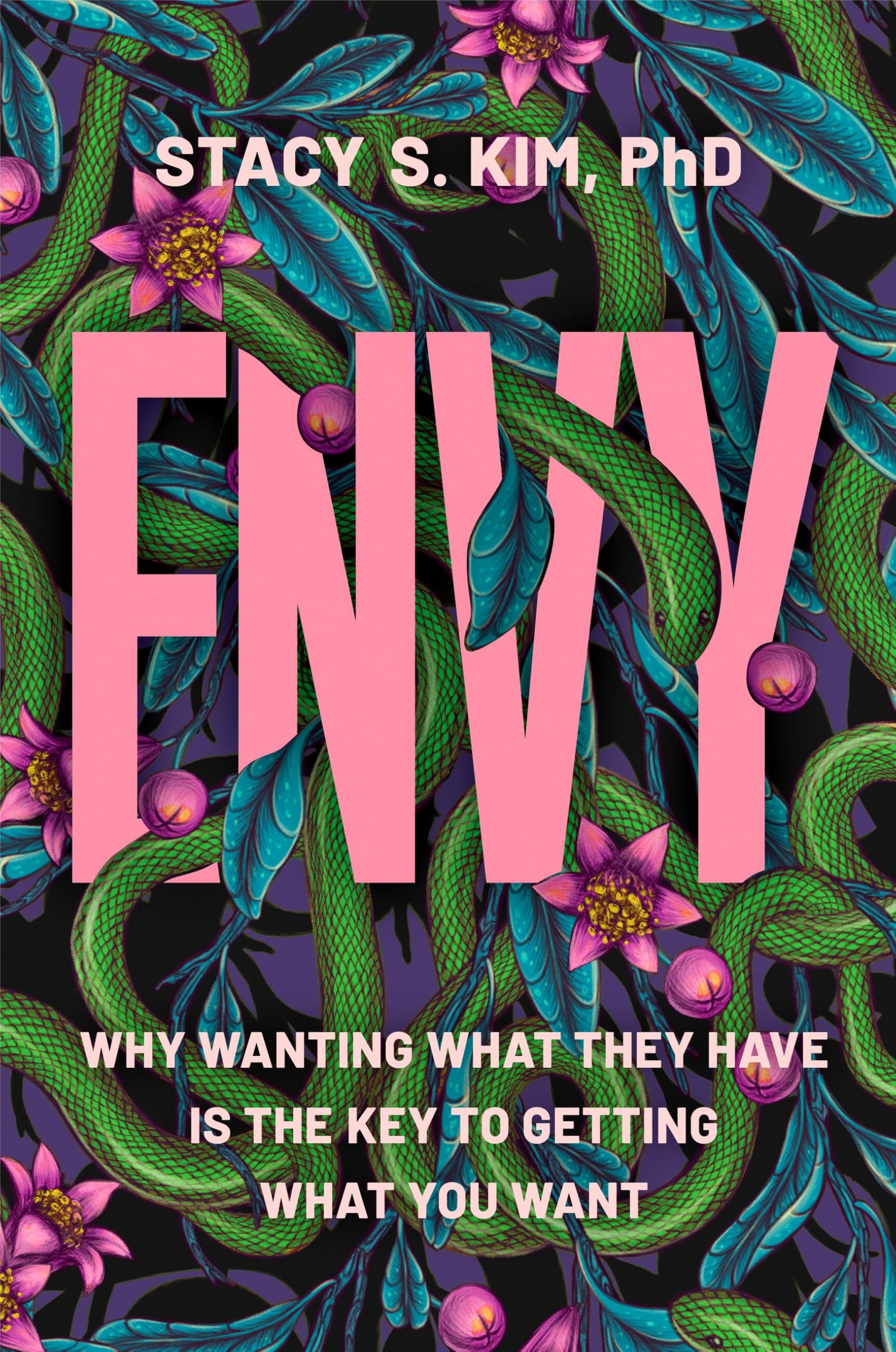Envy: Why Wanting What They Have is the Key to Getting What You Want